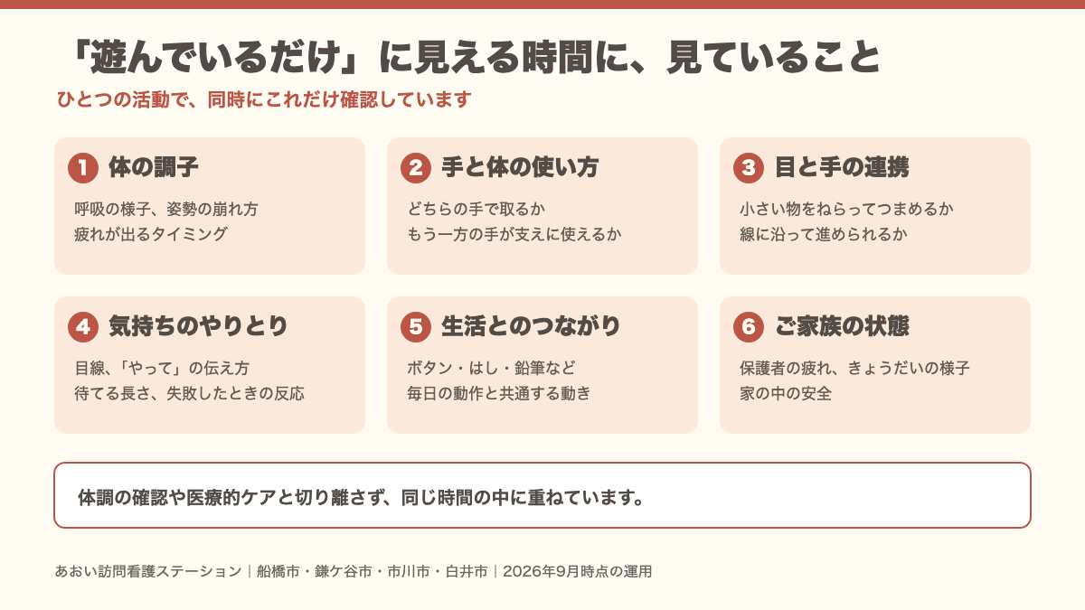遊んでいる時間に看護師が見ている6つのこと(体の調子・手と体の使い方・目と手の連携・気持ちのやりとり・生活とのつながり・ご家族の状態)を示した図