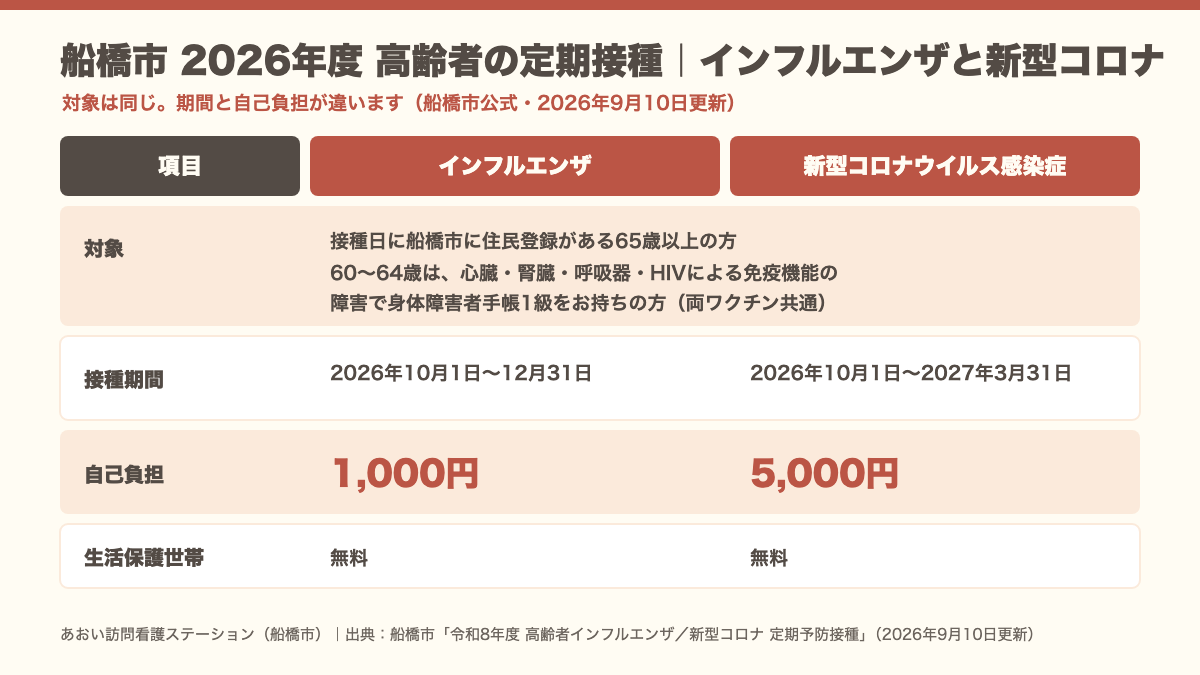 船橋市の2026年度高齢者向け定期接種の比較。インフルエンザは自己負担1,000円で12月31日まで、新型コロナは5,000円で2027年3月31日まで。生活保護世帯は無料